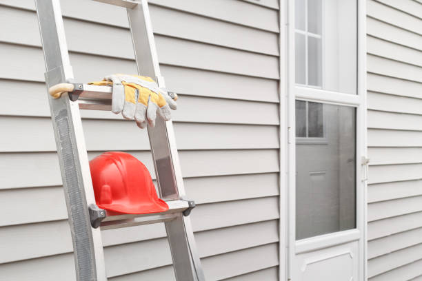 Best Hoarding Cleanup  in Colfax, IL